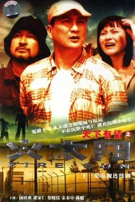 《天下有情之火太阳国语》：爱情与救赎的烈火重生