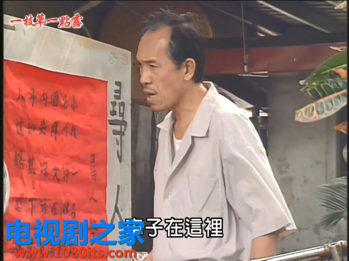 《一枝草一点露》：小人物的励志史诗，台湾本土力量的温暖绽放