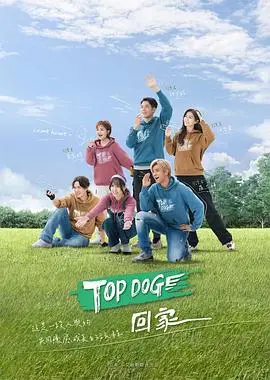 《TOP DOG》：热血警犬与菜鸟警探的硬核搭档，燃爆银幕！