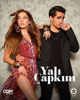 《翠鸟 第一季》：惊心动魄的猫鼠游戏，探寻人性深渊的罪恶与救赎